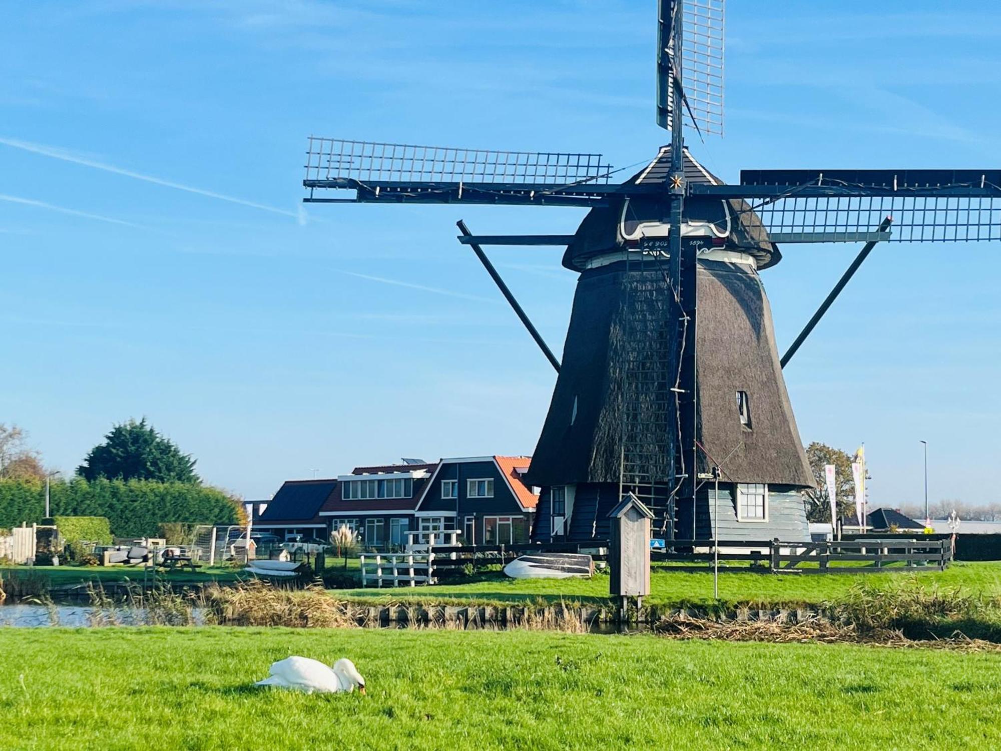 Millsight Bed & Breakfast Uitgeest Exterior foto